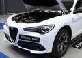 Alfa Romeo Stelvio 2.2 Sprint RWD 190 Aut. Blanco - thumbnail 34