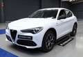 Alfa Romeo Stelvio 2.2 Sprint RWD 190 Aut. Blanco - thumbnail 5