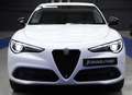 Alfa Romeo Stelvio 2.2 Sprint RWD 190 Aut. Blanco - thumbnail 37