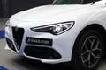 Alfa Romeo Stelvio 2.2 Sprint RWD 190 Aut. Blanco - thumbnail 33