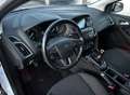 Ford Focus Sb. 1.0 EcoB. ST-Line Black&Red Edition 125 - thumbnail 7