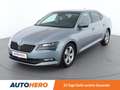 Skoda Superb 2.0 TDI Style Grau - thumbnail 1