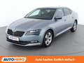 Skoda Superb 2.0 TDI Style Grau - thumbnail 1