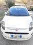 Fiat Punto Evo Punto Evo 5p 1.4 natural power MyLife 70cv Bianco - thumbnail 2