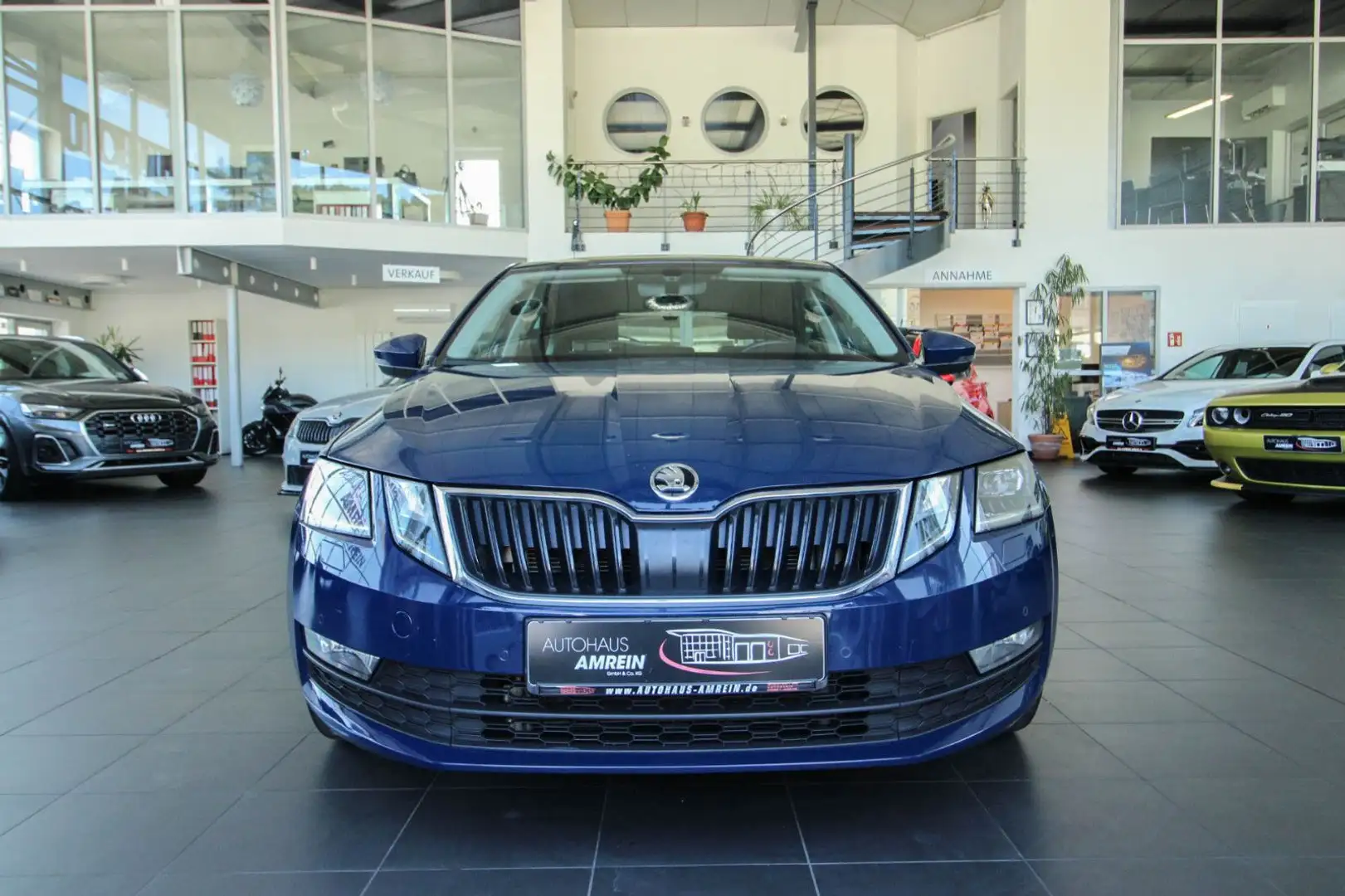Skoda Octavia Drive/Business Columbus/Schiebedach/ACC Blau - 2