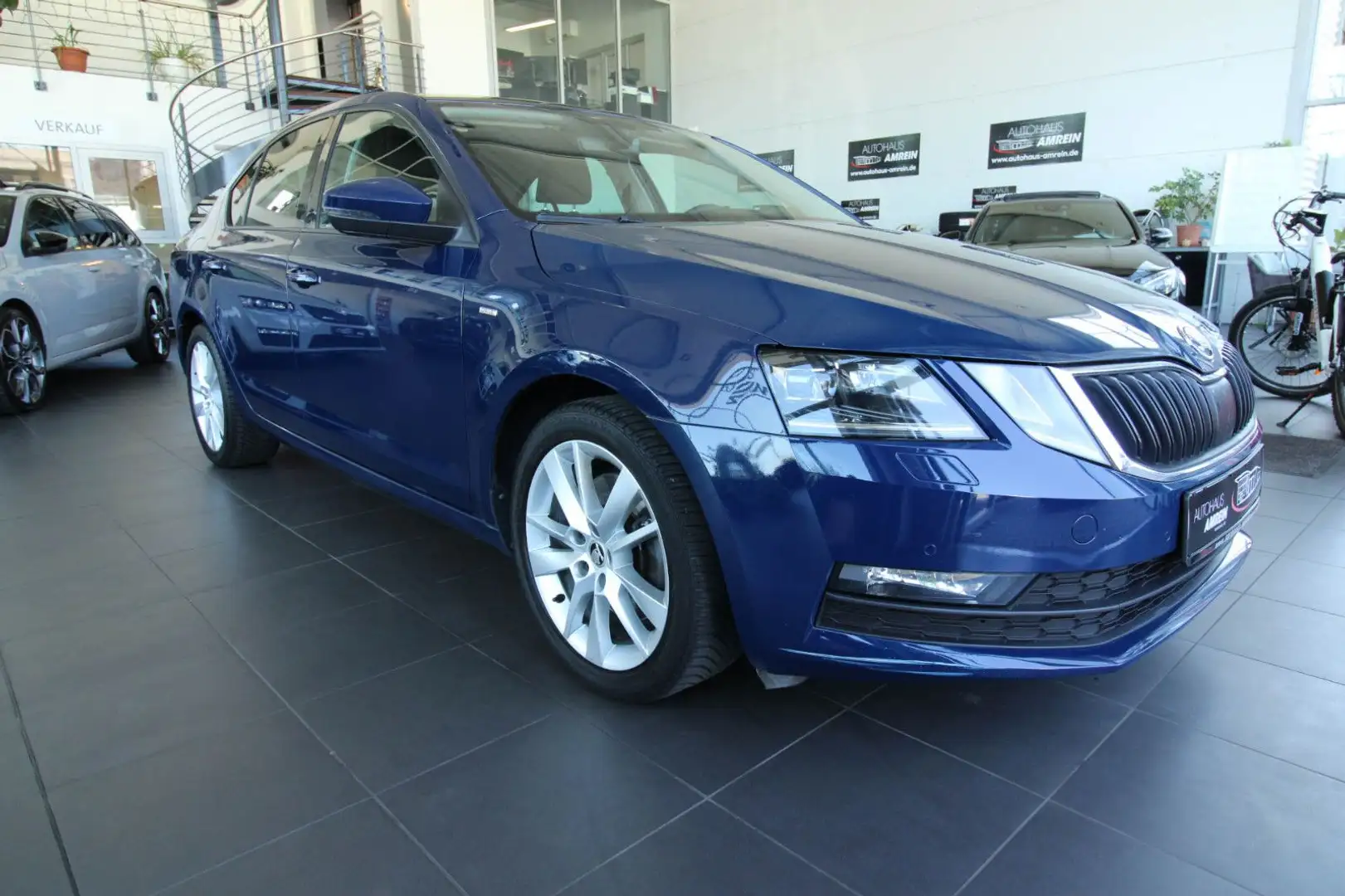 Skoda Octavia Drive/Business Columbus/Schiebedach/ACC Blau - 1