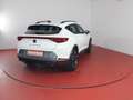 CUPRA Formentor 1.5TSI DSG 239,-ohne Anzahlung Kamera Sitzheizung Weiß - thumbnail 3