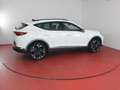 CUPRA Formentor 1.5TSI DSG 239,-ohne Anzahlung Kamera Sitzheizung Weiß - thumbnail 19