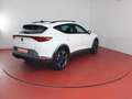 CUPRA Formentor 1.5TSI DSG 239,-ohne Anzahlung Kamera Sitzheizung Weiß - thumbnail 17