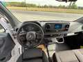 Mercedes-Benz Sprinter 514 CDI - BENNE - 28.500 EUR + TVA/BTW Blanc - thumbnail 12
