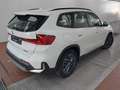 BMW iX1 xDrive 30 ACC Kam HarmanKardon DrivingPlus Weiß - thumbnail 4