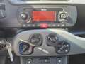 Fiat Panda 1.0 FireFly S&S Hybrid NO OBBLIGO DI FINANZ !!!! Blau - thumbnail 12