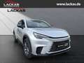Lexus LBX Basis*1.5*KOMFORT-PAK.*SHZ*PDC*15J-GARANTIE* Stříbrná - thumbnail 7