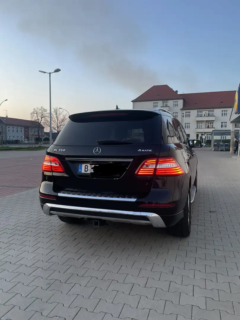 Mercedes-Benz ML 350 ML 350 BlueEfficiency DESIGNO LEDER Negro - 2