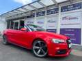 Audi A5 Cabriolet 2.0 TDI  quattro  S-Line*Navi*Sizhg Rot - thumbnail 1