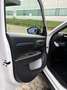 Citroen C3 Turbo 100 YOU Weiß - thumbnail 20