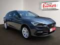 SEAT Leon SP Kombi Style Edition 1.5TSI 115PS Facelift Grau - thumbnail 18