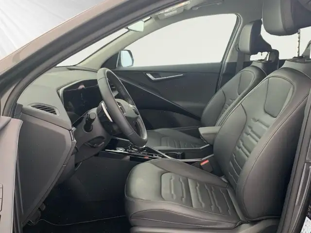 Kia e-Niro view 8
