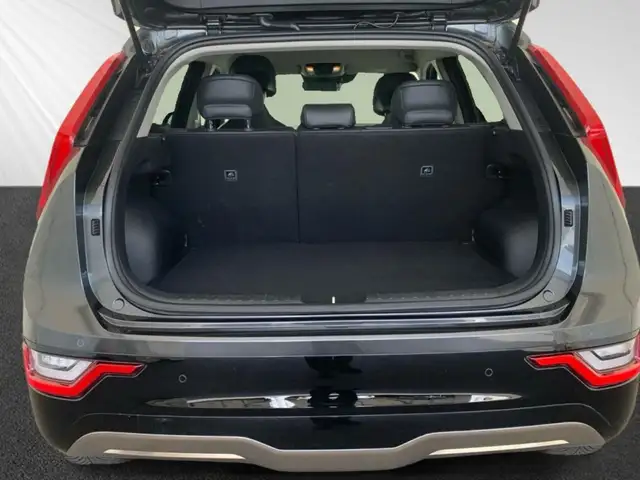 Kia e-Niro view 6