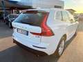 Volvo XC60 XC60 2.0 b4 Business Plus awd geartronic - FY963DB Bianco - thumbnail 6