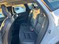 Volvo XC60 XC60 2.0 b4 Business Plus awd geartronic - FY963DB Bianco - thumbnail 13