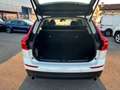 Volvo XC60 XC60 2.0 b4 Business Plus awd geartronic - FY963DB Bianco - thumbnail 10