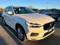 Volvo XC60 XC60 2.0 b4 Business Plus awd geartronic - FY963DB Bianco - thumbnail 8