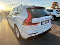 Volvo XC60 XC60 2.0 b4 Business Plus awd geartronic - FY963DB Bianco - thumbnail 4
