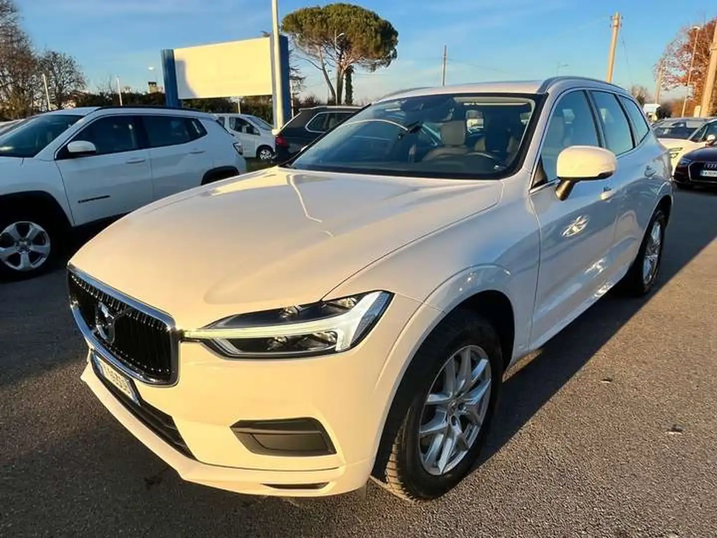 Volvo XC60 XC60 2.0 b4 Business Plus awd geartronic - FY963DB Bianco - 2