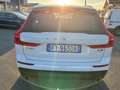Volvo XC60 XC60 2.0 b4 Business Plus awd geartronic - FY963DB Bianco - thumbnail 5