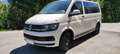 Volkswagen T6.1 Multivan Weiß - thumbnail 1