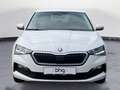 Skoda Scala 1.0 TGI G-TEC Drive 125 Blanc - thumbnail 7
