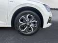 Skoda Scala 1.0 TGI G-TEC Drive 125 Weiß - thumbnail 12