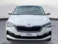 Skoda Scala 1.0 TGI G-TEC Drive 125 Weiß - thumbnail 7