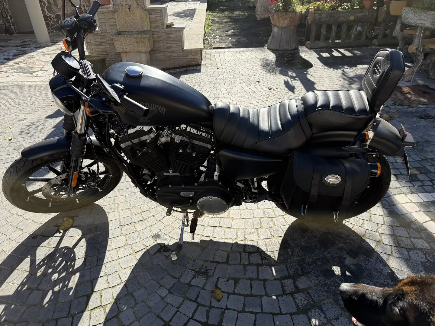 Harley-Davidson Iron 883 XL 883N - 1