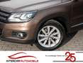 Volkswagen Tiguan 1.4 Sport & Style |Bi-Xenon|Scheckheft| Brown - thumbnail 19