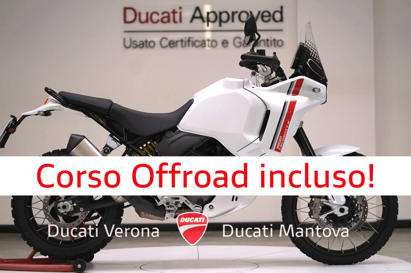 Ducati DesertX Desert X solo 13.853 - anno 2022 Weiß - 1