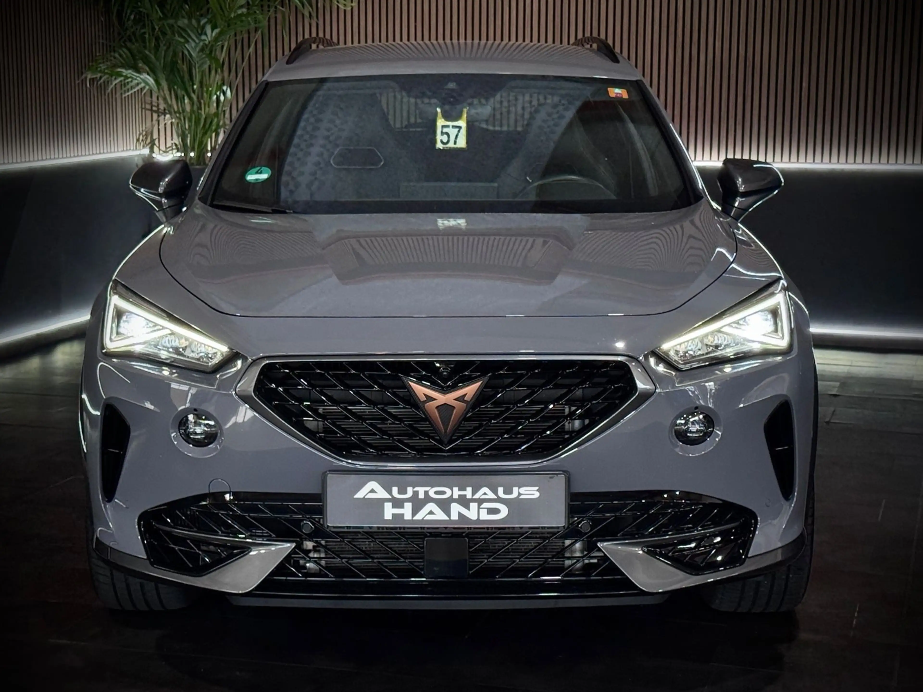 CUPRA Formentor *2.0*VZ*4DRIVE*BEATS*360*ACC*FULL-LINK — photo 3