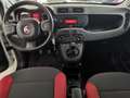 Fiat Panda 1.2 Easy Bianco - thumbnail 7