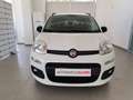 Fiat Panda 1.2 Easy Bianco - thumbnail 3
