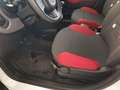 Fiat Panda 1.2 Easy Bianco - thumbnail 8