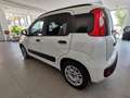 Fiat Panda 1.2 Easy Bianco - thumbnail 5