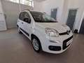 Fiat Panda 1.2 Easy Bianco - thumbnail 2