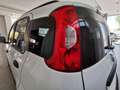 Fiat Panda 1.2 Easy Bianco - thumbnail 13