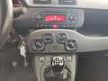 Fiat Panda 1.2 Easy Bianco - thumbnail 15