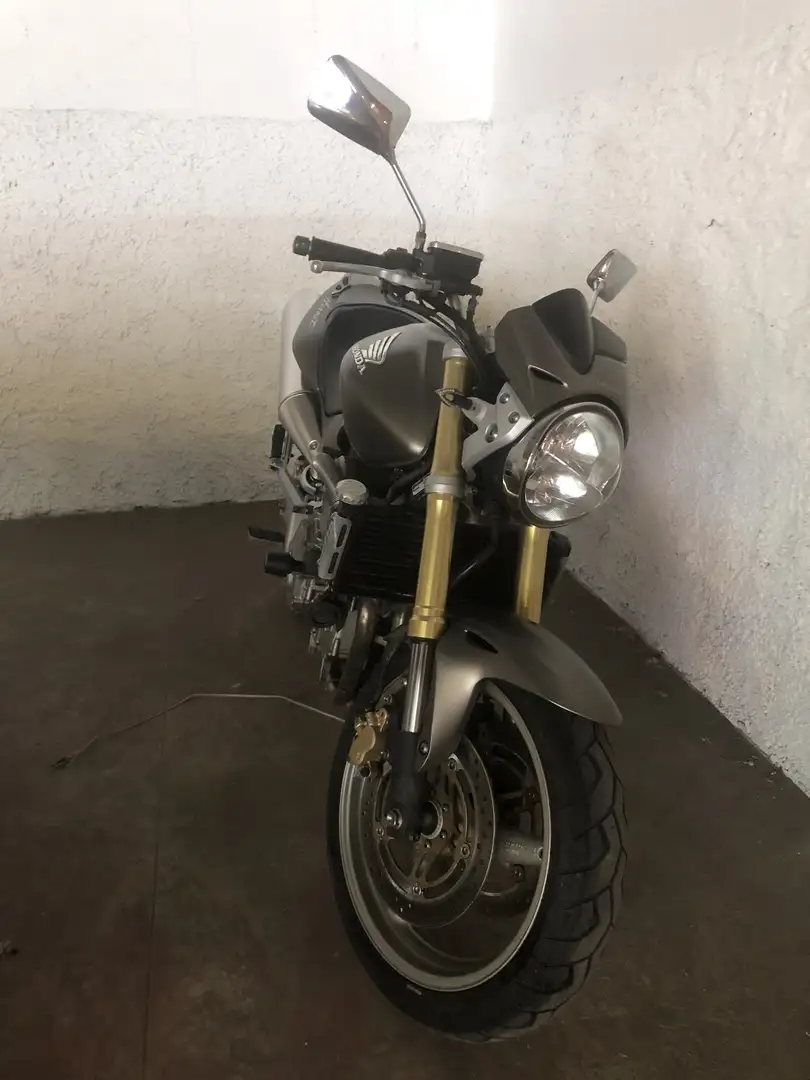 Honda Hornet - 1