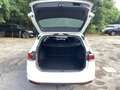 Volkswagen Passat Variant Passat 2.0 TDI DSG Variant R-LINE*NAVI*LED*R-CAM Weiß - thumbnail 7