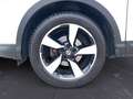 Nissan Qashqai 1.5 dci 360 110cv E6 Weiß - thumbnail 15