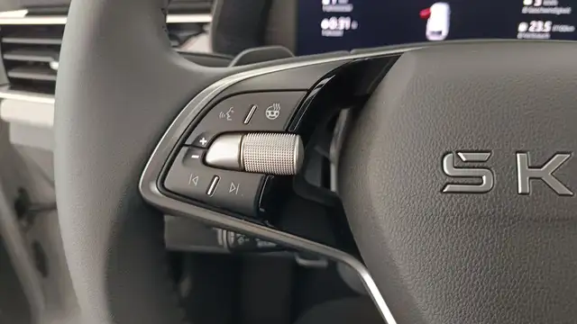 Skoda Scala view 15