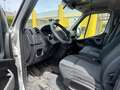 Renault Master CARROTREZZI - thumbnail 6